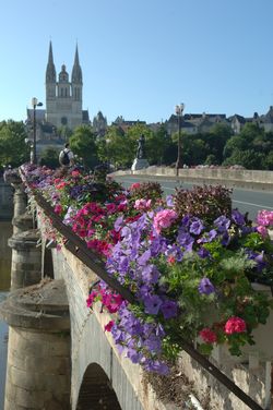 hotel angers
